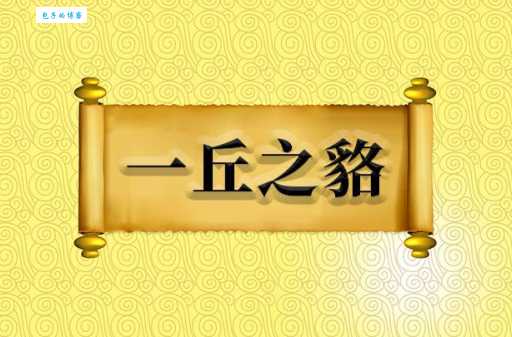 一丘之貉是什么意思？拼音、近义词和例句都在这里