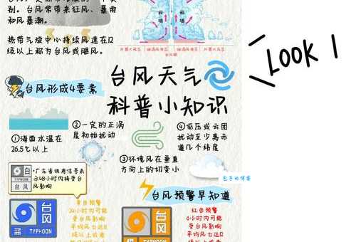 台风眼风平浪静的秘密：离心力与气压的平衡