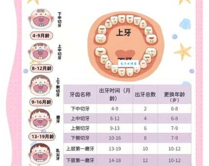 牙牙学语是什么意思？宝宝学说话的阶段详解