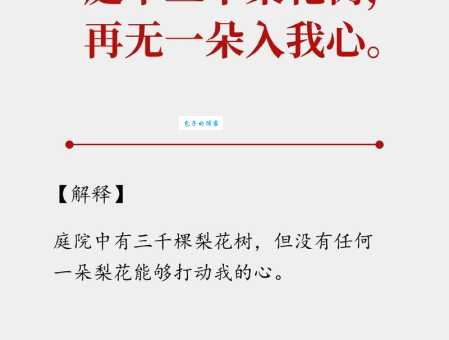 枝折花落是什么意思？简单易懂的解释和例句分享