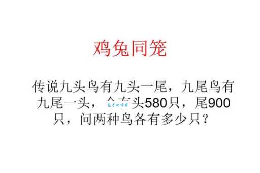 鸡熊兔衣服打一成语是什么？答案揭晓！