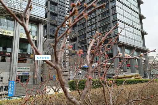 解密“五道口职业技术学院”，这个名字的来历是什么？