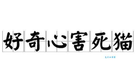 好奇害死猫什么意思？详解这句谚语的起源和含义