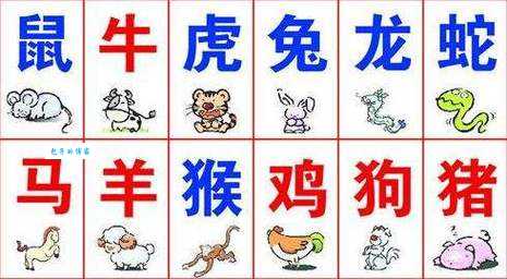 暴殄天物打一生肖是什么动物？答案揭晓！