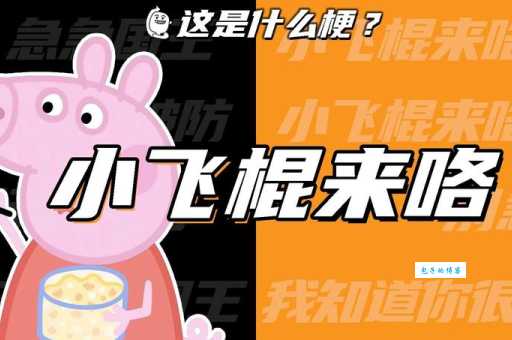 “小飞棍来喽”网络热梗含义详解及出处