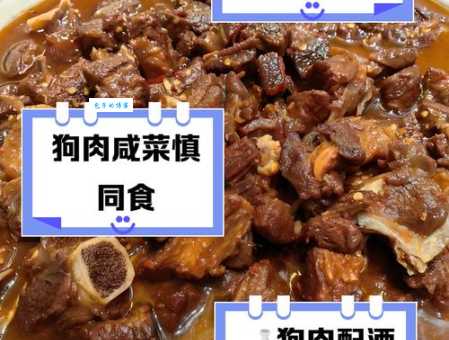 狗肉搭配什么食物会中毒？详解狗肉相克食物