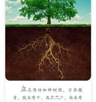 树无根不长人无志不立：励志名言的现代解读