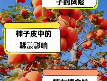 柿子不能和哪些食物一起吃？避免这些食物组合更健康