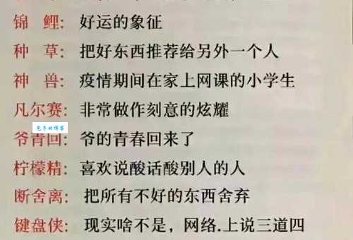 网络流行语“萌萌哒”是什么意思？深度解析