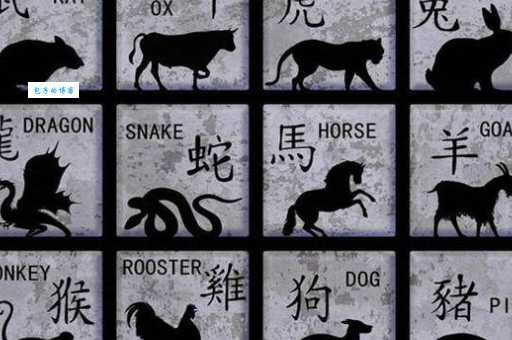 喧嚣之夜打一生肖是什么动物？答案揭晓！