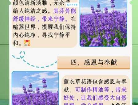 一薰一莸是什么意思？简单易懂的解释和例句分析