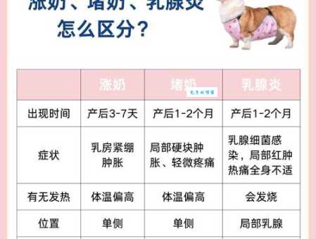 网络流行语“毒奶”是什么意思？带你了解“毒奶”的含义及用法