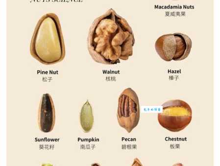 想知道有哪些坚果类食品？营养丰富又好吃的坚果都在这里！