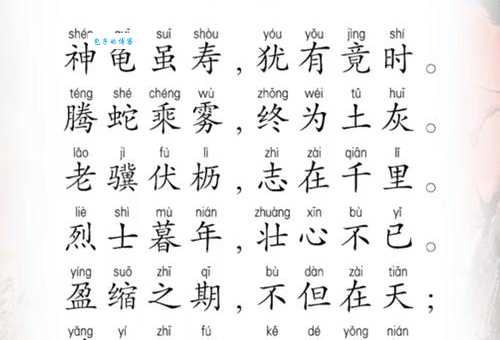 龟鹤之年具体指多大年纪？古今说法大不同