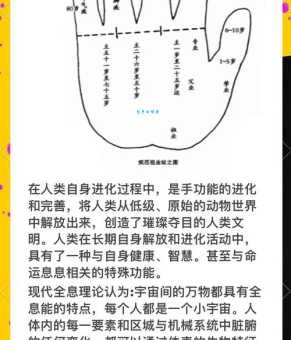 什么是事业线？如何解读手相中的事业线走向？