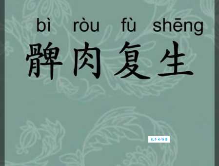 详解髀肉复生的意思和典故，你真的了解吗？