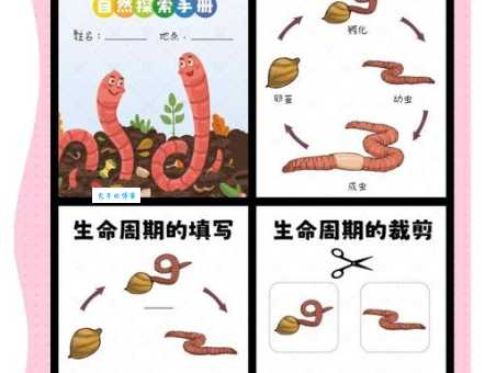 蚯蚓都住在哪里？详解蚯蚓的理想生活环境