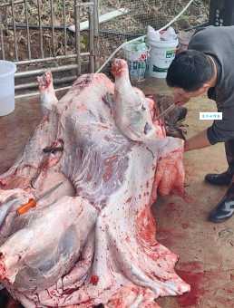 “打牙祭”是什么意思？好吃好喝才能打牙祭？