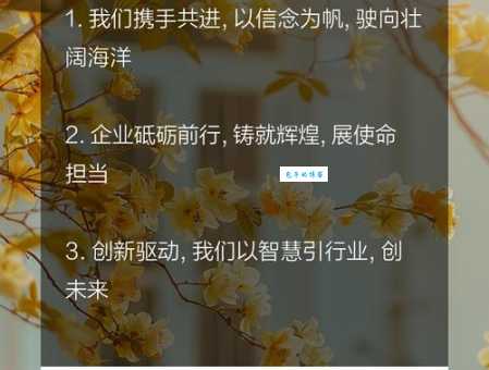 解读新商业文明：四个核心准则助你企业腾飞