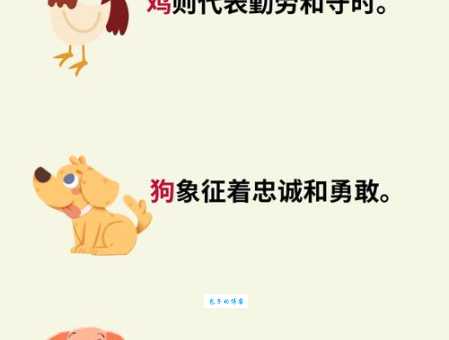 名如其意是代表指什么生肖，权威答案解答落实