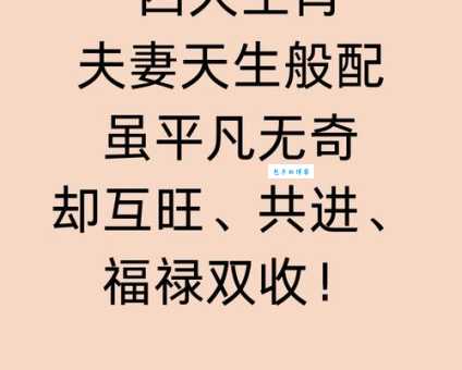 鸡犬相闻打一最佳生肖是什么生肖，全面作解解释落实