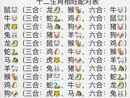 顺二连五一一现，八九不分合吉三是代表什么生肖打一正确生肖，解释解答释义落实