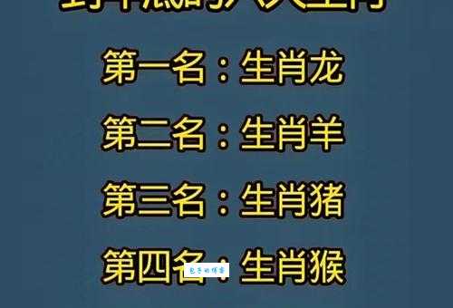 一头二头马先锋，双红波色放光彩指的什么生肖，精选回答落实