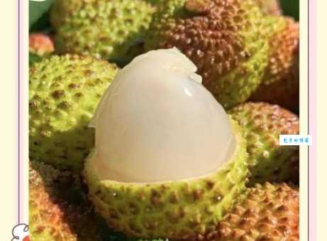 荔枝什么时候成熟？教你挑选最新鲜的荔枝