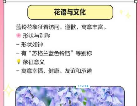 蓝铃花的花语是什么？寓意又是什么呢？