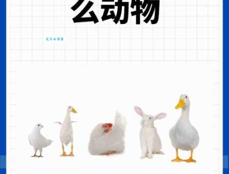 无路可走是指哪一个生肖，猜打一释义最佳成语解释