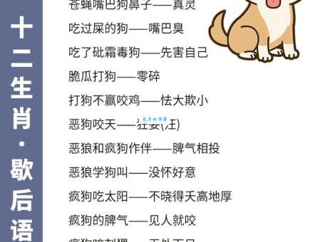 夷然不屑打一最佳生肖是什么生肖，经典解答落实