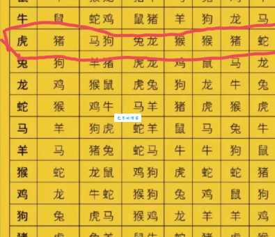 四面通风打一最佳生肖是指什么生肖，重点解释落实