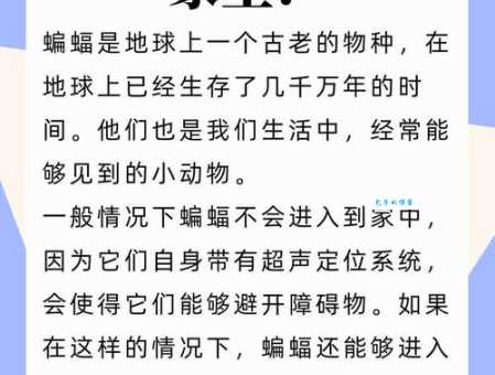 常识辨析：蝙蝠是鸟吗？告诉你答案及原因！