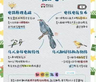 高压线上的小鸟不会触电？科学解释让你不再疑惑