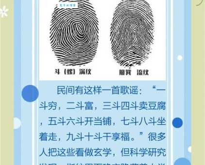 指纹是什么？它在身份验证和刑侦方面如何发挥作用？