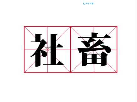 社畜是什么意思？如何摆脱社畜的困境？