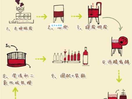 自酿葡萄酒技巧分享：酿造美味葡萄酒的秘诀和注意事项