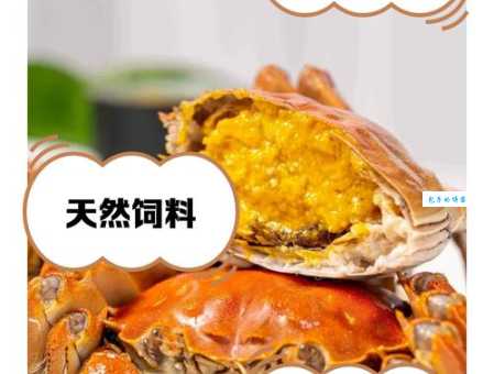 阳澄湖大闸蟹的故乡在哪里？阳澄湖所在的省份和城市是？