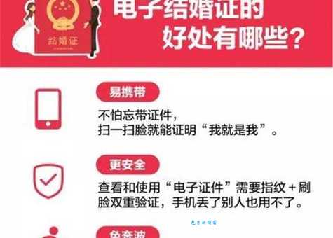 轻松领证！结婚证所需材料及办理流程详解