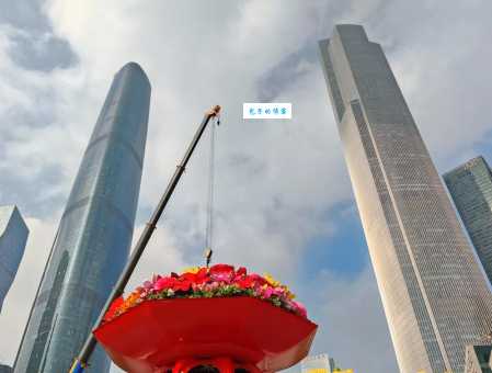 以花卉命名的城市有哪些？探秘中国最美花城