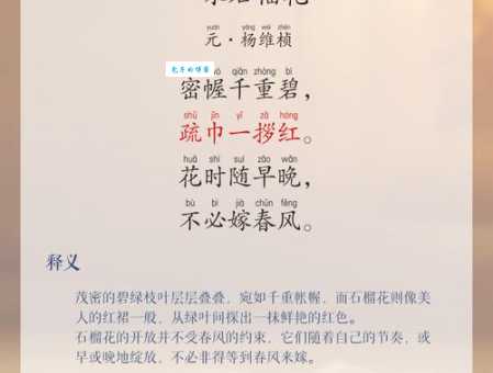“绿肥红瘦”诗句中的“红瘦”是什么花？一文解读其含义
