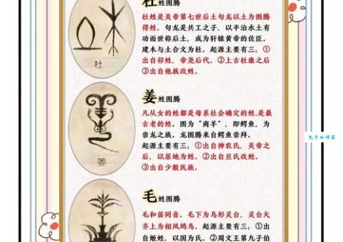 百家姓里的姓氏越靠前，背后隐藏的秘密是什么？