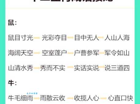 万里挑一代表什么生肖，词语解析落实