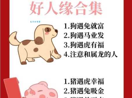 万里挑一是指什么生肖，仔细落实
