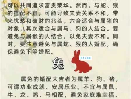 鸡口牛后是什么生肖，仔细解释落实