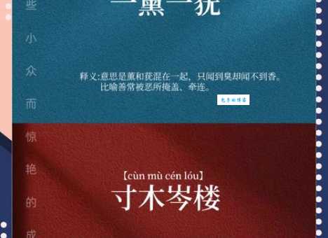 一薰一莸是什么生肖，仔细解释落实