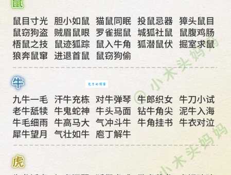 动力十足代表什么生肖，词语解析落实