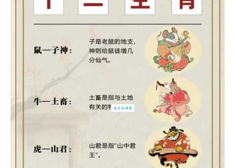 自由散漫打猜最佳准确生肖，答案解答落实