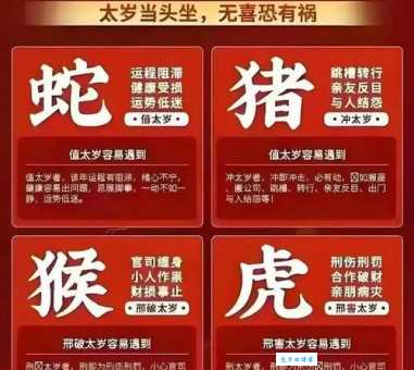动力十足打一最佳生肖是指什么生肖，重点解释落实