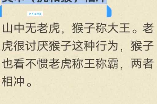 十二生肖是大哥，子午相冲见零马指的是什么生肖猜一生肖，权威诗意解释落实